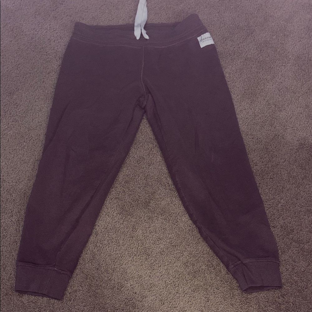 Women’s purple Jogger Pants
Calvin Klein